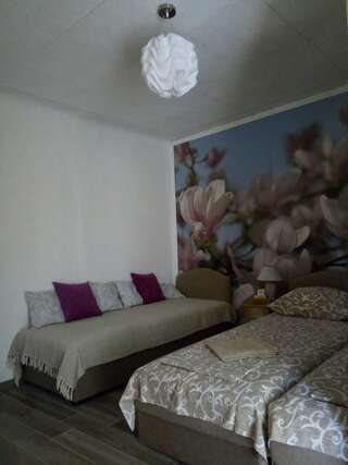 Апартаменты Vicky Apartments Котор Трехместный номер с общей ванной комнатой-16