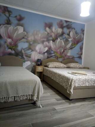 Апартаменты Vicky Apartments Котор Трехместный номер с общей ванной комнатой-20