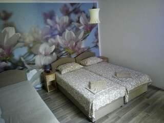 Апартаменты Vicky Apartments Котор Трехместный номер с общей ванной комнатой-23