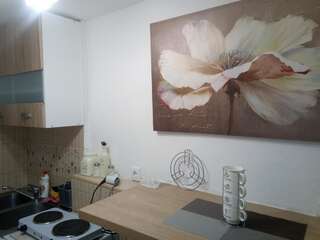 Апартаменты Vicky Apartments Котор Номер-студио с террасой-4