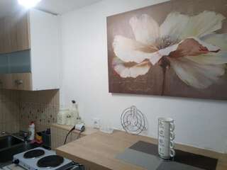 Апартаменты Vicky Apartments Котор Номер-студио с террасой-8