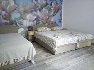 Апартаменты Vicky Apartments Котор Трехместный номер с общей ванной комнатой-2